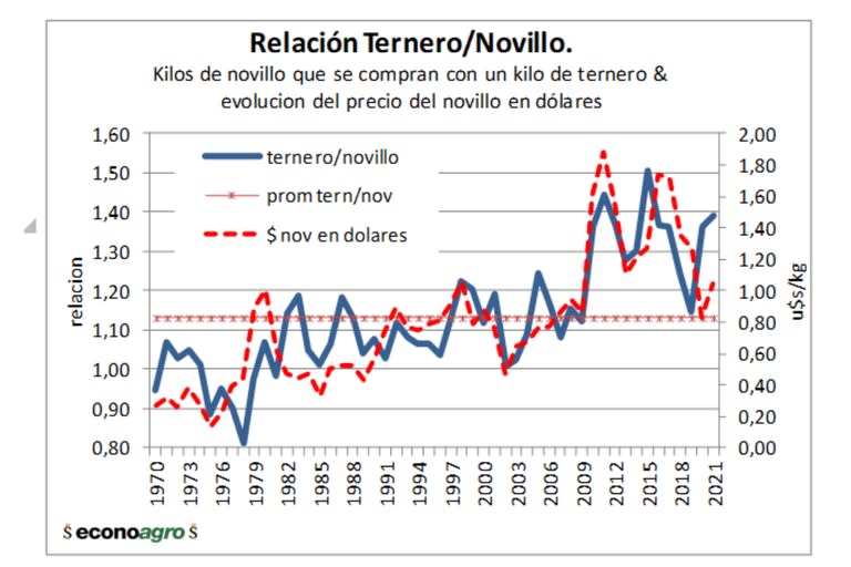 Relación del ternero/novillo 