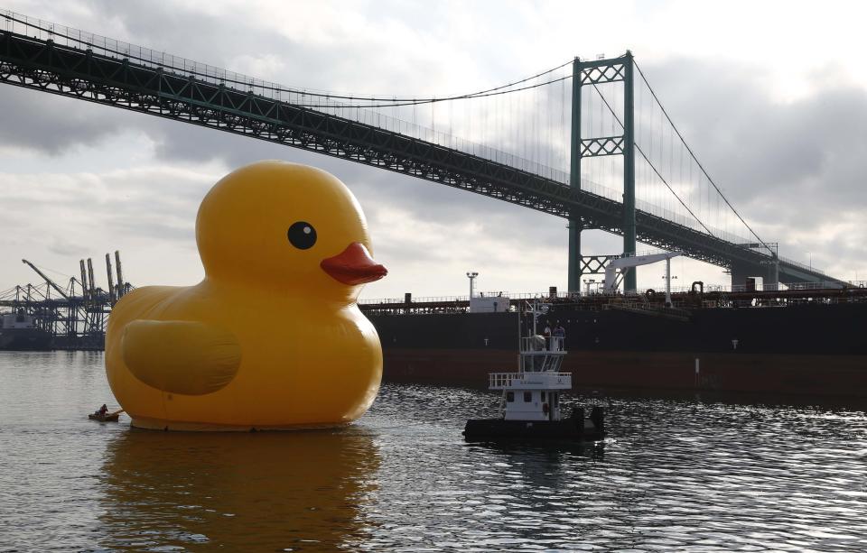 A giant inflatable rubber duck installation by Dutch artist Florentijn Hofman floats under the Vincent Thomas Bridge through the Port of Los Angeles as part of the Tall Ships Festival, in San Pedro, California August 20, 2014. The creation, which is five stories tall and five stories wide, has been seen floating in various cities around the world since 2007. (REUTERS/Lucy Nicholson)