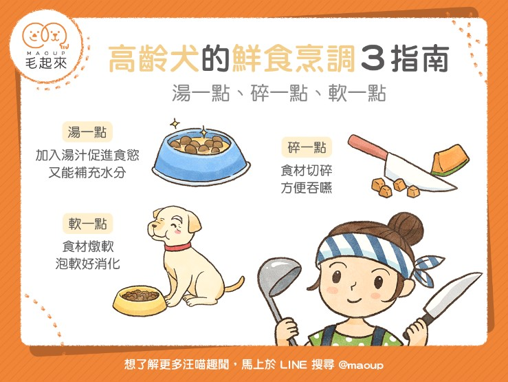 高齡犬的飲食建議湯一點、碎一點和軟一點(圖片來源臉書 毛起來MAOUP)。   圖：新北市動保處提供