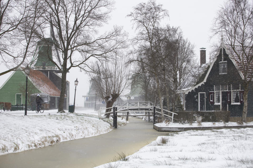 A bicyclist passes windmills of the open air Zaans Museum in Zaandam, as snow and strong winds pounded The Netherlands, Sunday, Feb. 7, 2021. (AP Photo/Peter Dejong)