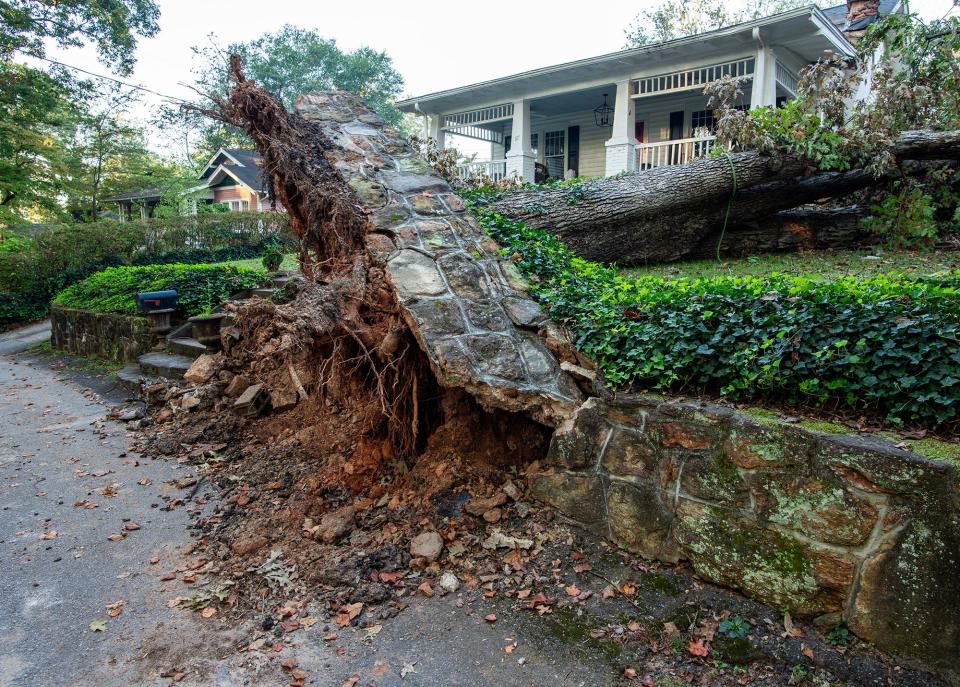 A tree downed by Hurricane Helene lifted a section of stone wall on Walnut Street in Greenville Monday October 7, 2024.