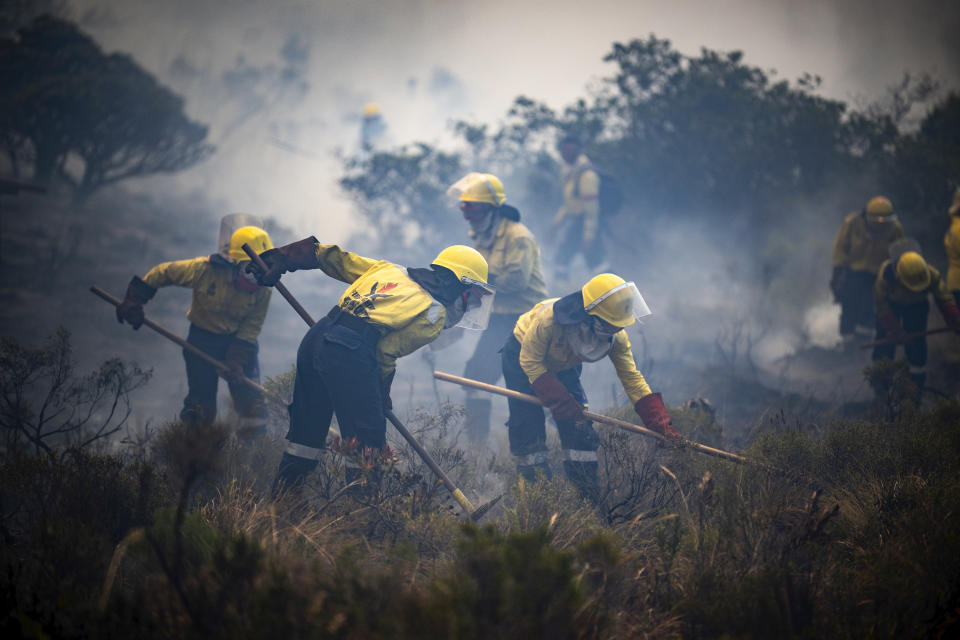 Firefighters battle wildfires in Pringle Bay, near Cape Town, South Africa, Tuesday, Jan. 30 2024. Residents have been evacuated as wildfires swept down off surrounding mountains and burned out of control. (AP Photo)