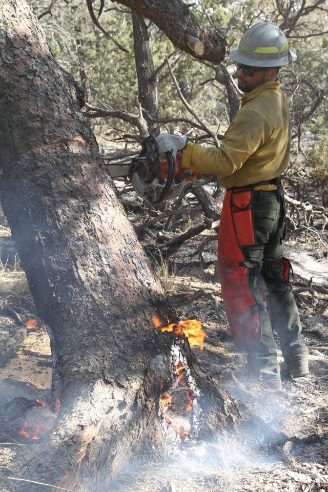 Miller Timber Type 2 crew April 17 working to extinguish hotspots and mitigate problem trees along the eastern flank of the McBride Fire.