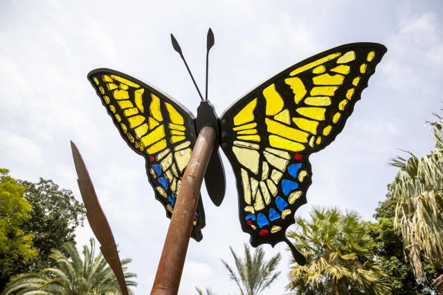 How Butterflies Get Their Shine