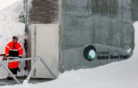 FILE PHOTO: A guard stands watch outside the Global Seed Vault before the opening ceremony in Longyearbyen, Norway, February 26, 2008. REUTERS/Bob Strong/File Photo