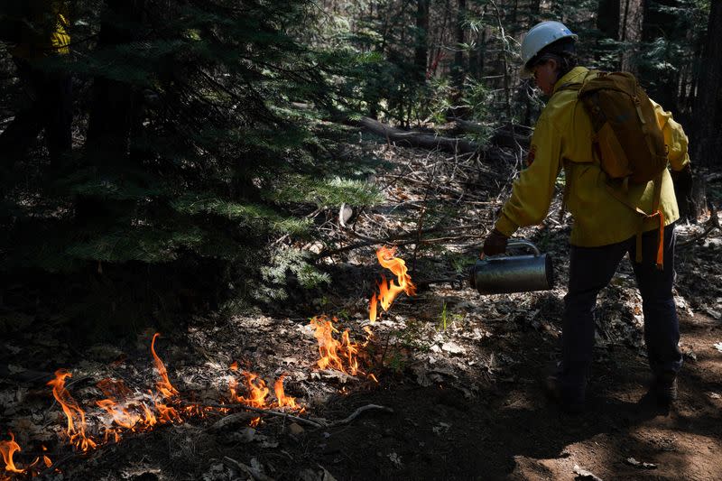 Volunteers learn broadcast burning techniques in Georgetown