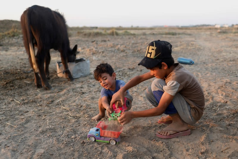 The Wider Image: Drought imperils Iraq's water buffalo and a child's way of life