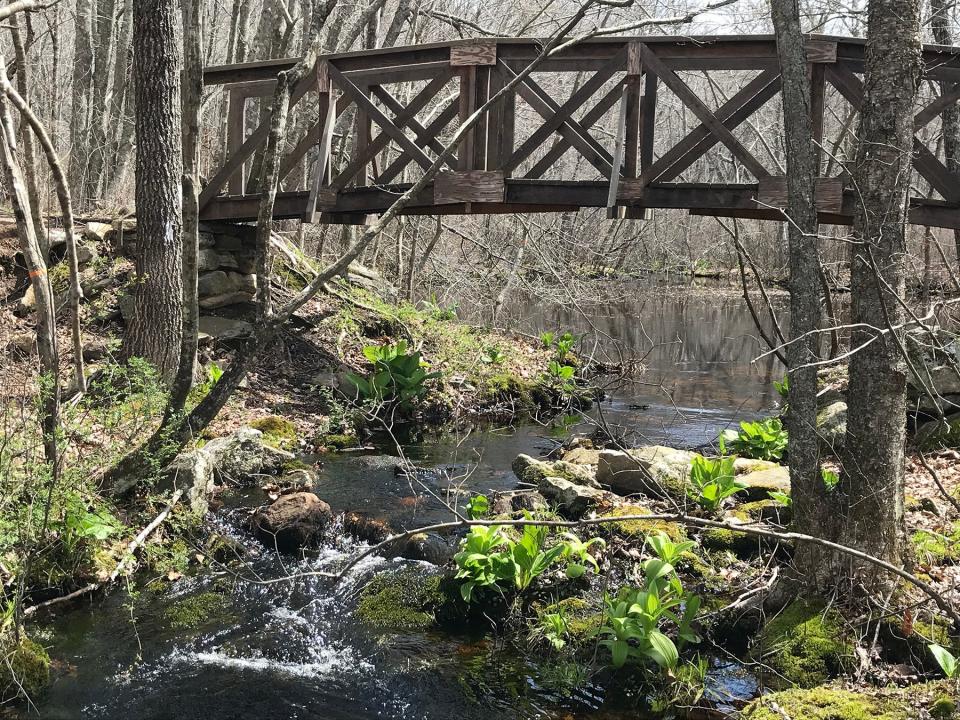 A rebuilt bridge crosses a stream that runs from a small pond where Girl Scouts once swam at Wahaneeta Preserve in Westerly.