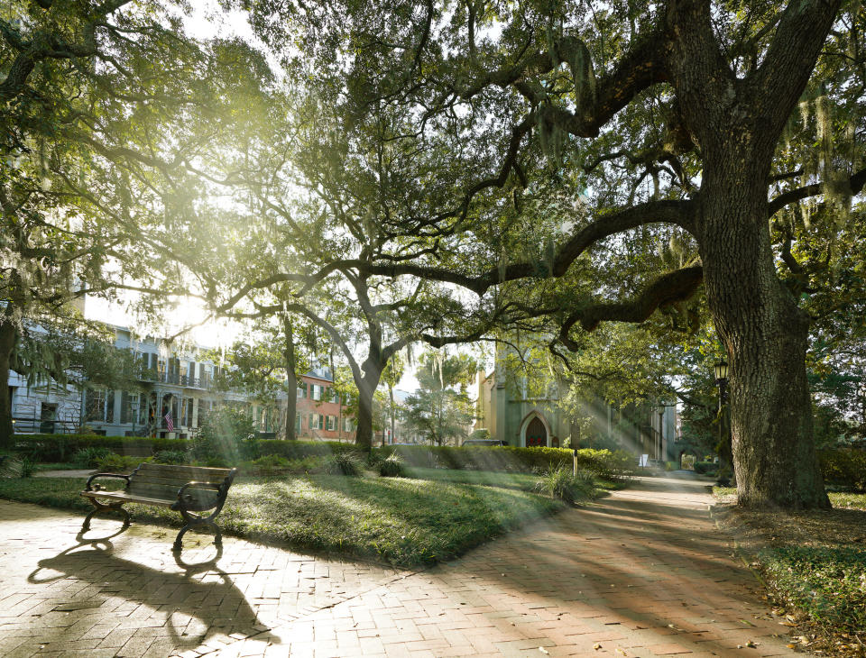 A sunlit street in Savannah, Georgia