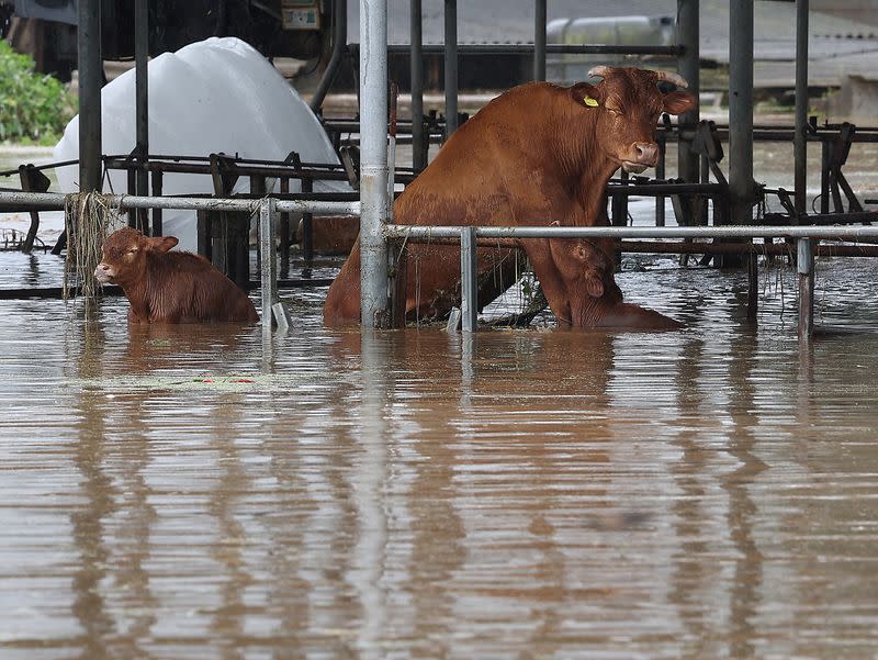 Rains lash southern Japan as Khanun takes aim at South Korea