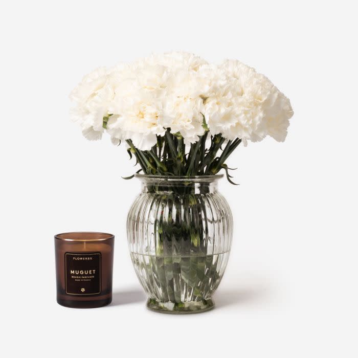 <p><a href="https://go.redirectingat.com?id=74968X1596630&url=https%3A%2F%2Fwww.flowerbx.com%2Fus%2Fcotton-puff-carnation&sref=https%3A%2F%2Fwww.townandcountrymag.com%2Fsociety%2Fa14108881%2Fbest-flowers-for-valentines-day%2F" rel="nofollow noopener" target="_blank" data-ylk="slk:Shop Now;elm:context_link;itc:0;sec:content-canvas" class="link ">Shop Now</a></p><p>Cotton Puff Carnation</p><p>flowerbx.com</p><p>$65.00</p>