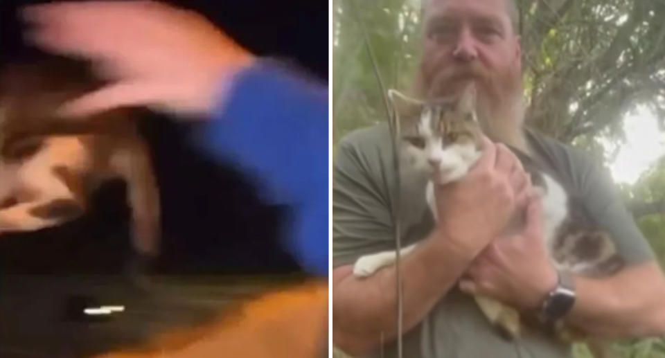 A photo of a cat being thrown off a bridge near Brisbane from a moving car. Another photo of the cat being found by his owners in a bush near the bridge.