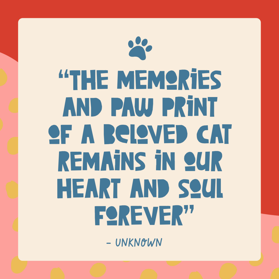 The memories and paw print of a beloved cat remains in our heart and soul forever quote