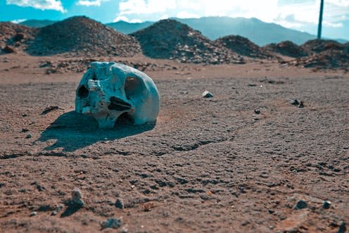   <span class="attribution"><a class="link " href="https://www.shutterstock.com/image-photo/tragedy-victim-human-skull-desert-1179542422" rel="nofollow noopener" target="_blank" data-ylk="slk:RomanRaD/Shutterstock;elm:context_link;itc:0;sec:content-canvas">RomanRaD/Shutterstock</a></span>