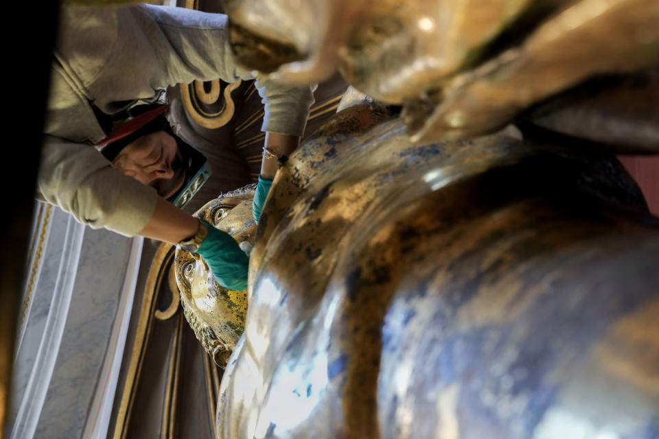 Vatican Museum restorer Alice Baltera works on the bronze Hercules statue, in the Round Hall of the Vatican Museums, Thursday, May 11, 2023. Work will continue until December to reveal the 4-meter- (13-foot-) tall Hercules, believed to have stood in ancient Rome’s Pompey Theater, to its original golden sheen. The discovery of the gilded bronze in 1864 during work on a banker’s villa near Piazza dei Fiori made global headlines. (AP Photo/Andrew Medichini)