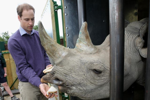 William slams trade in rhino horns