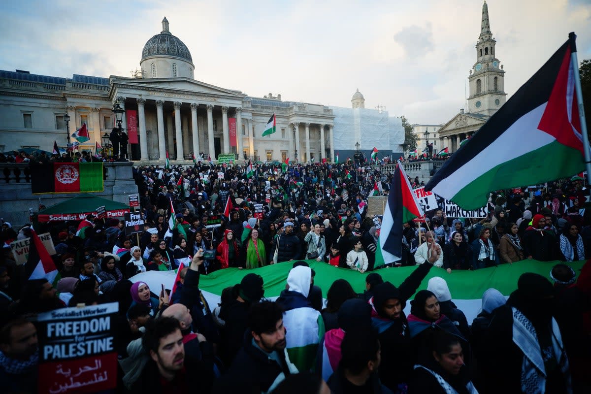 A rally in Trafalgar Square during Stop the War coalition's call for a Palestine ceasefire  (PA Wire)