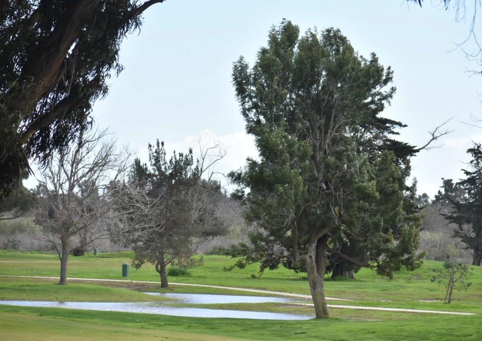 Buenaventura Golf Course in Ventura survived the Pineapple Express storm with minor scars as shown in this photo on Wednesday. Its future remains unclear but could include partial reopening.