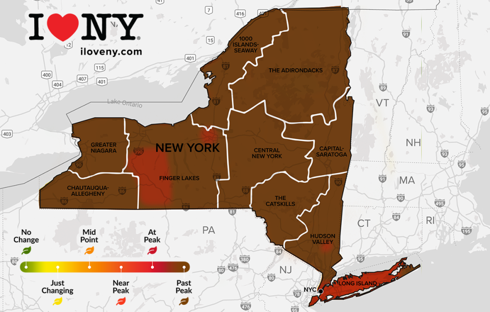 Foliage conditions across New York for Nov. 1-7, 2023.