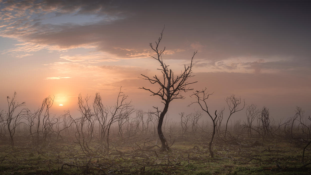  Landscape Photographer of the Year. 