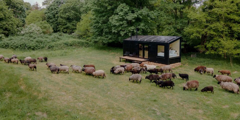 A Raus cabin among nature, animals, and trees