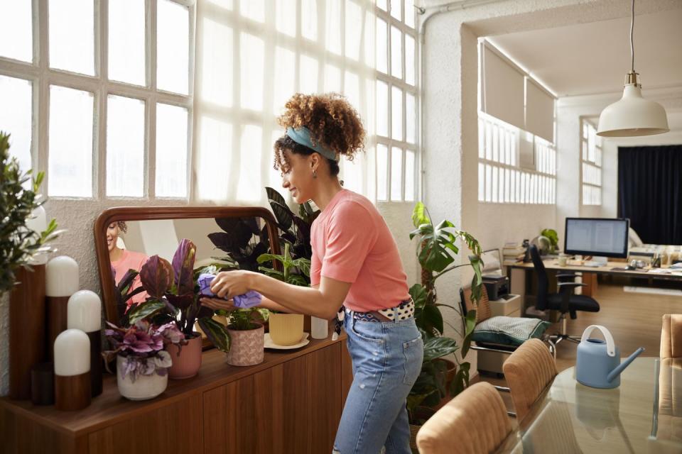 woman cleaning leaves of plotted plants at home