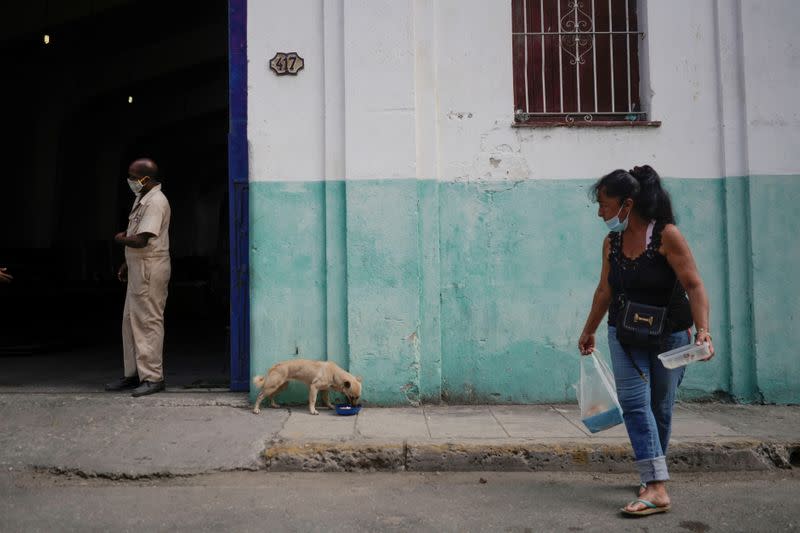 Cuba has approved a long called-for decree on animal welfare
