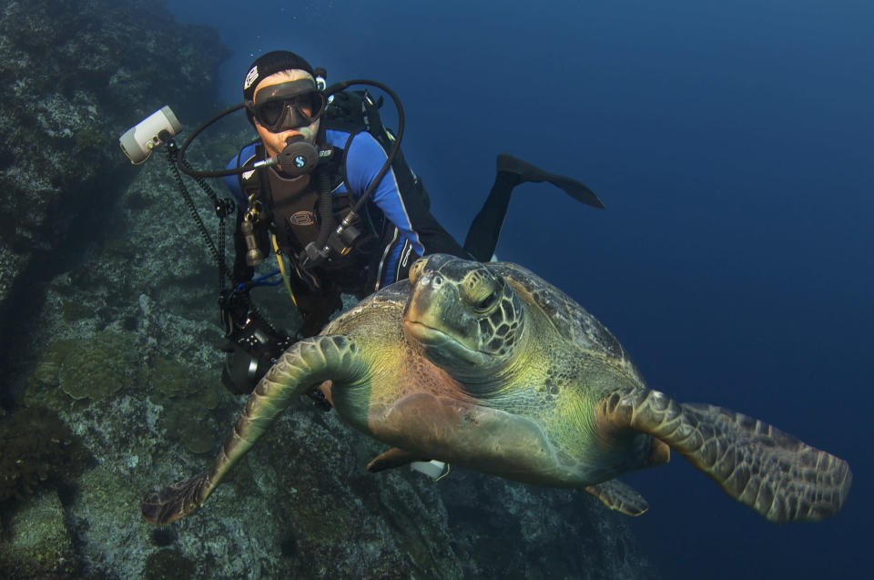 COCOS ISLAND, COSTA RICA: Marine biologist and National Geographic Explorer-in-Residence Enric Sala dives with a green turtle off Cocos Island, Costa Rica. Sala leads National Geographic’s Pristine Seas project, which aims to find, survey and help protect the last healthy and undisturbed places in the ocean. (Photo by Octavio Aburto) <br> <br> <a href="http://www.nationalgeographic.com/125/" rel="nofollow noopener" target="_blank" data-ylk="slk:Click here for more info at NationalGeographic.com;elm:context_link;itc:0;sec:content-canvas" class="link ">Click here for more info at NationalGeographic.com</a>