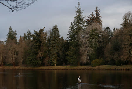 Fshermen stand in the river on the opening day of the salmon fishing season on the river Tay near Meikleour, Scotland, Britain January 15, 2019. REUTERS/Russell Cheyne