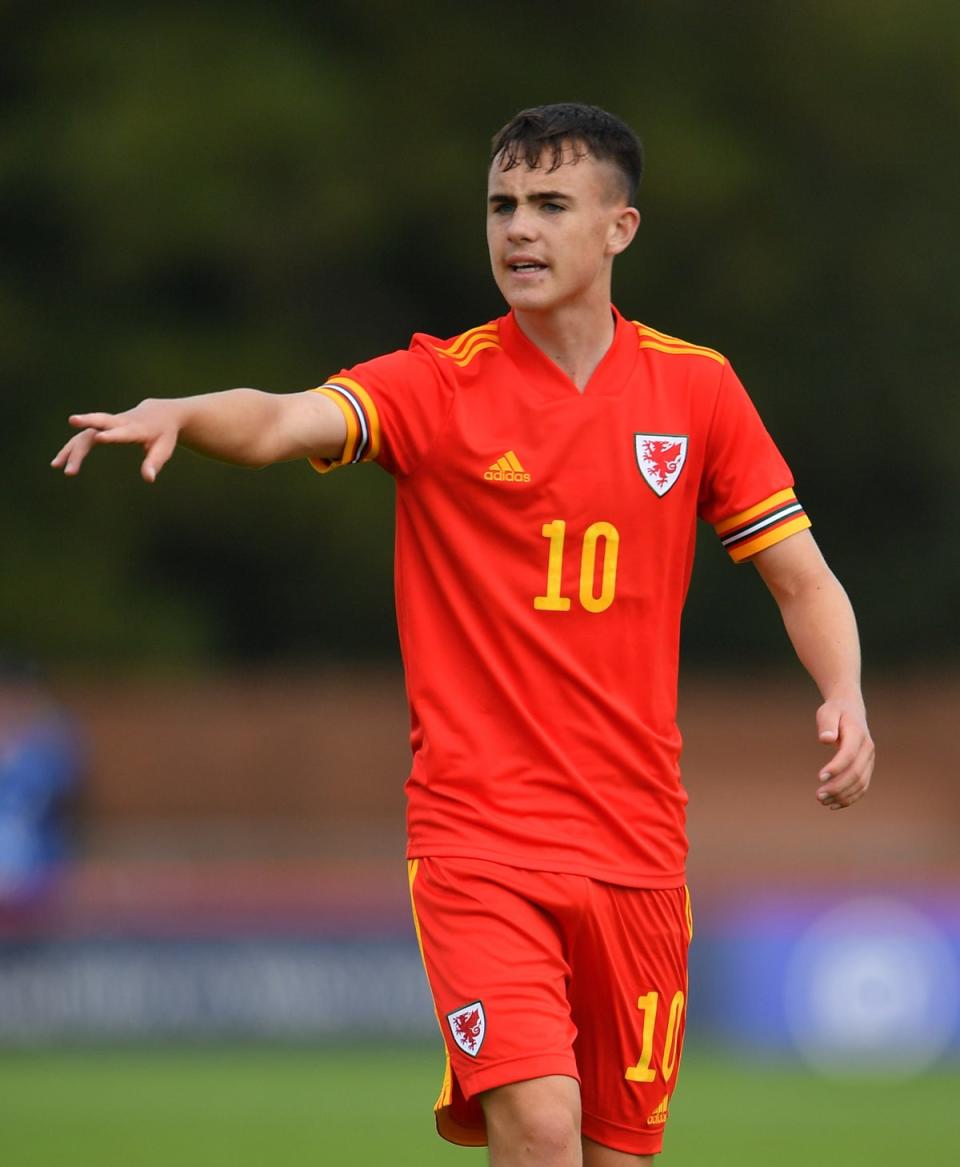 Fulham teenager Luke Harris is on the verge of a shock Wales senior call (Simon Galloway/PA) (PA Archive)