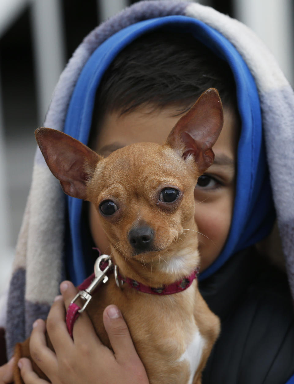 <p>Absel Salazar holds his Chihuahua Luly after fleeing his home in response to an earthquake alarm, in Mexico City, Saturday, Sept. 23, 2017. (Photo: Marco Ugarte/AP) </p>