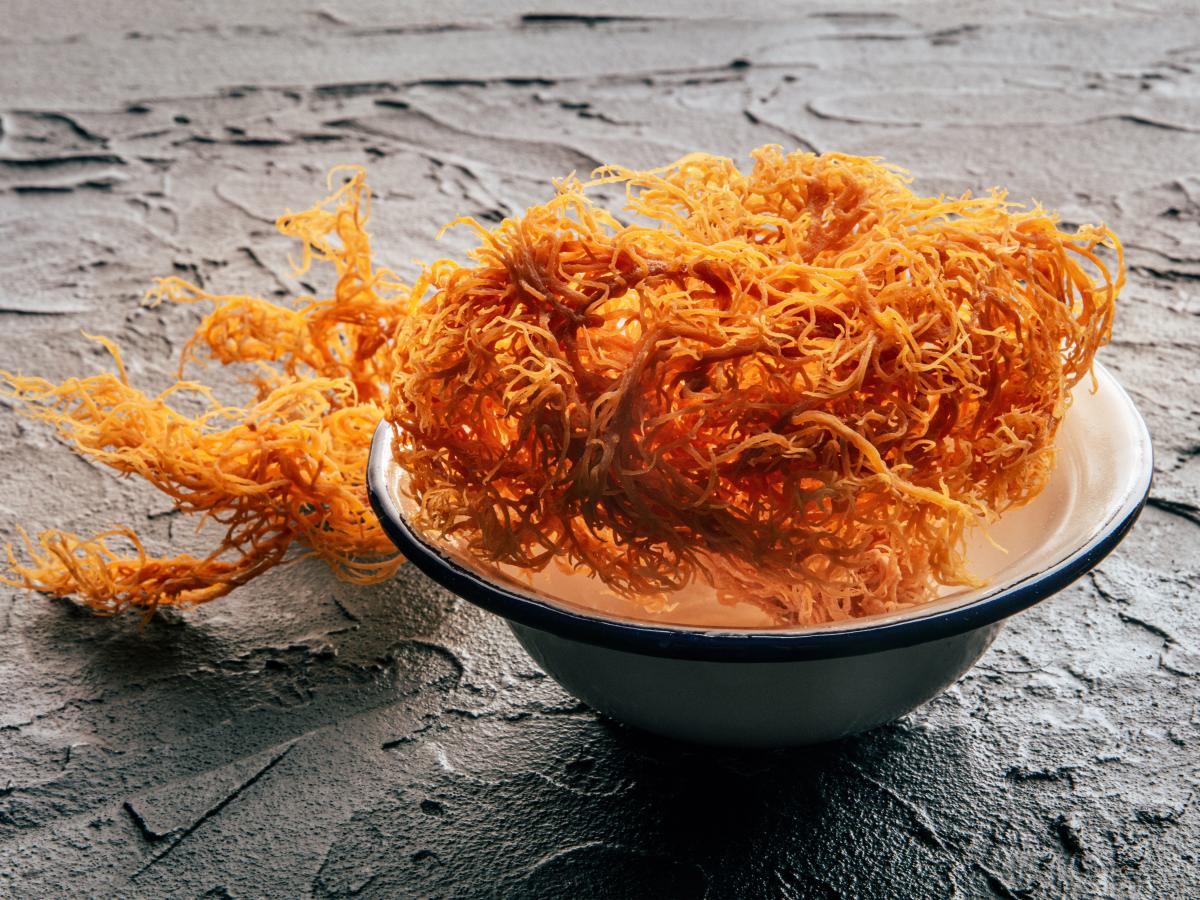 What Is Sea Moss Gel, the Smoothie Ingredient Made Famous by Erewhon? -  Eater