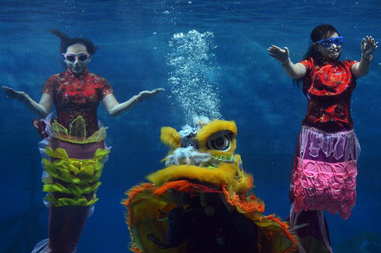 Indonesian performers dressed as mermaids wearing traditional Chinese dresses and a lion perform underwater in a special program celebrating the Lunar New Year at Jakarta's Ancol Park, on January 31, 2014