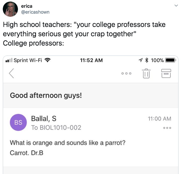 tweet about how college professors are super serious with an email screen cap of a professor asking what is orange and sounds like a parrot. it's a carrot