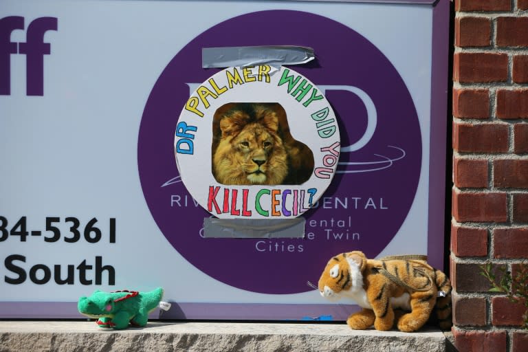 Protesters placed stuffed animals outside Walter Palmer's River Bluff Dental Clinic in Minnesota, after it was revealed the US dentist had paid $55,000 to kill a lion on a hunting trip to Zimbabwe