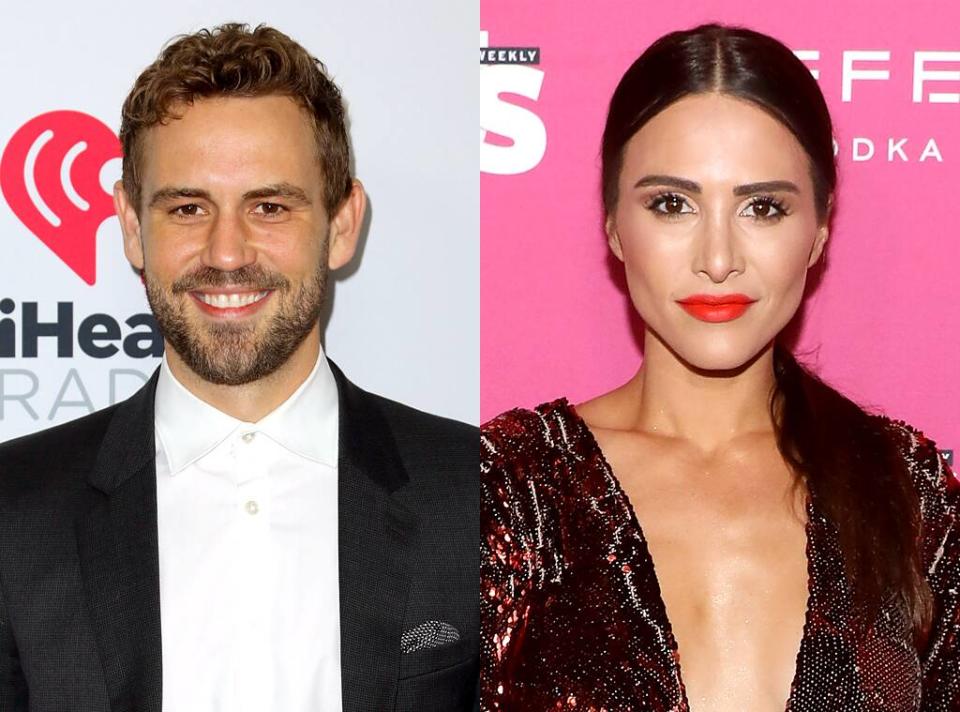 Nick Viall, Andi Dorfman