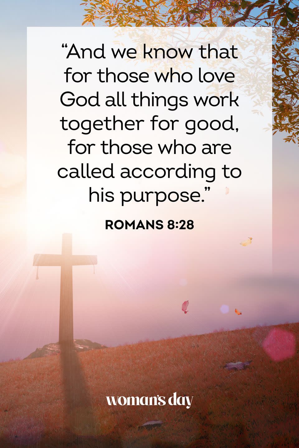 Romans 8:28