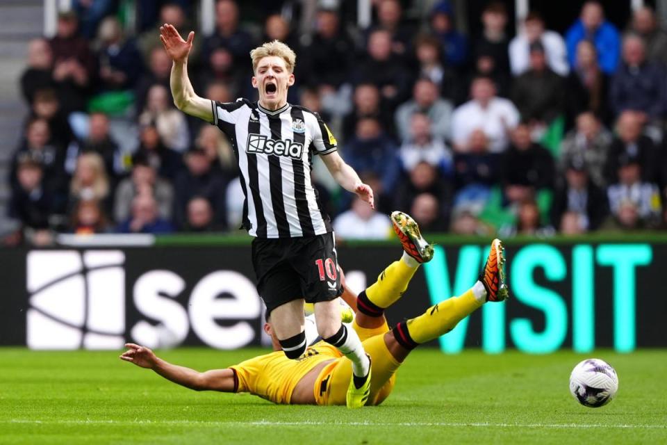 Anthony Gordon is fouled by Mason Holgate <i>(Image: PA)</i>