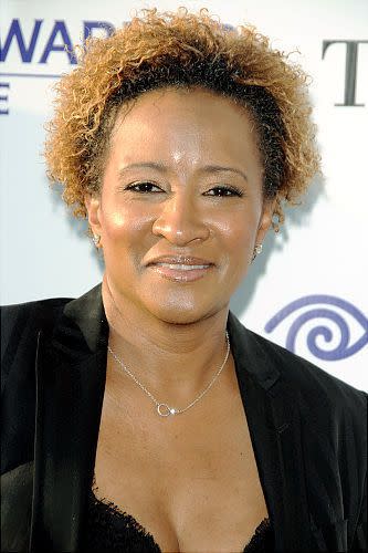 Comedian Wanda Sykes, who can be seen on 'The New Adventures of Old Christine,' joined other protesters in Las Vegas at a rally against the passage of Proposition 8, which bans gay marriage in California. The actress not only came to the rally, but she also came out, revealing to the crowd that she had married her female partner in late October 2008.