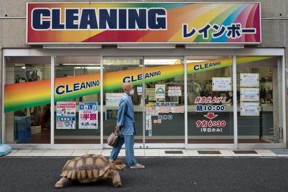 Hisao Mitani walks with an African tortoise, which he named Bon-Chan, on the street in Tokyo, Japan (Getty)