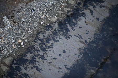 A man watches an oil slick wash up on a beach along the coast of Refugio State Beach in Goleta, California, United States, May 19, 2015. REUTERS/Lucy Nicholson