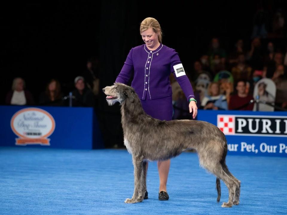 national dog show winner 2021