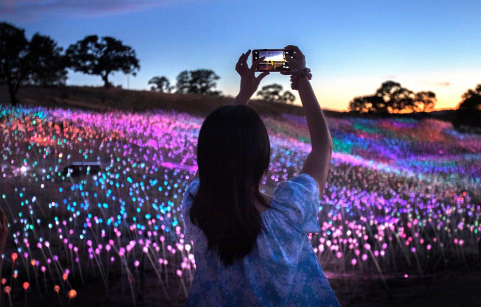 A visitor takes pictures at the art installation Field of Light at Sensorio by artist Bruce Munro on Aug. 3, 2019. The exhibit consists of more than 58,800 LED lights on stalks nestled in a gently sloping ravine a few miles outside of Paso Robles in San Luis Obispo County.