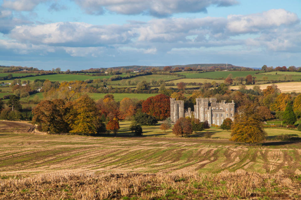 <p>It sits in 1,050 acres of rolling parkland estate in Mullingar, Co Westmeath, about a 60-minute drive from Dublin. (LeadingEstates.com) </p>