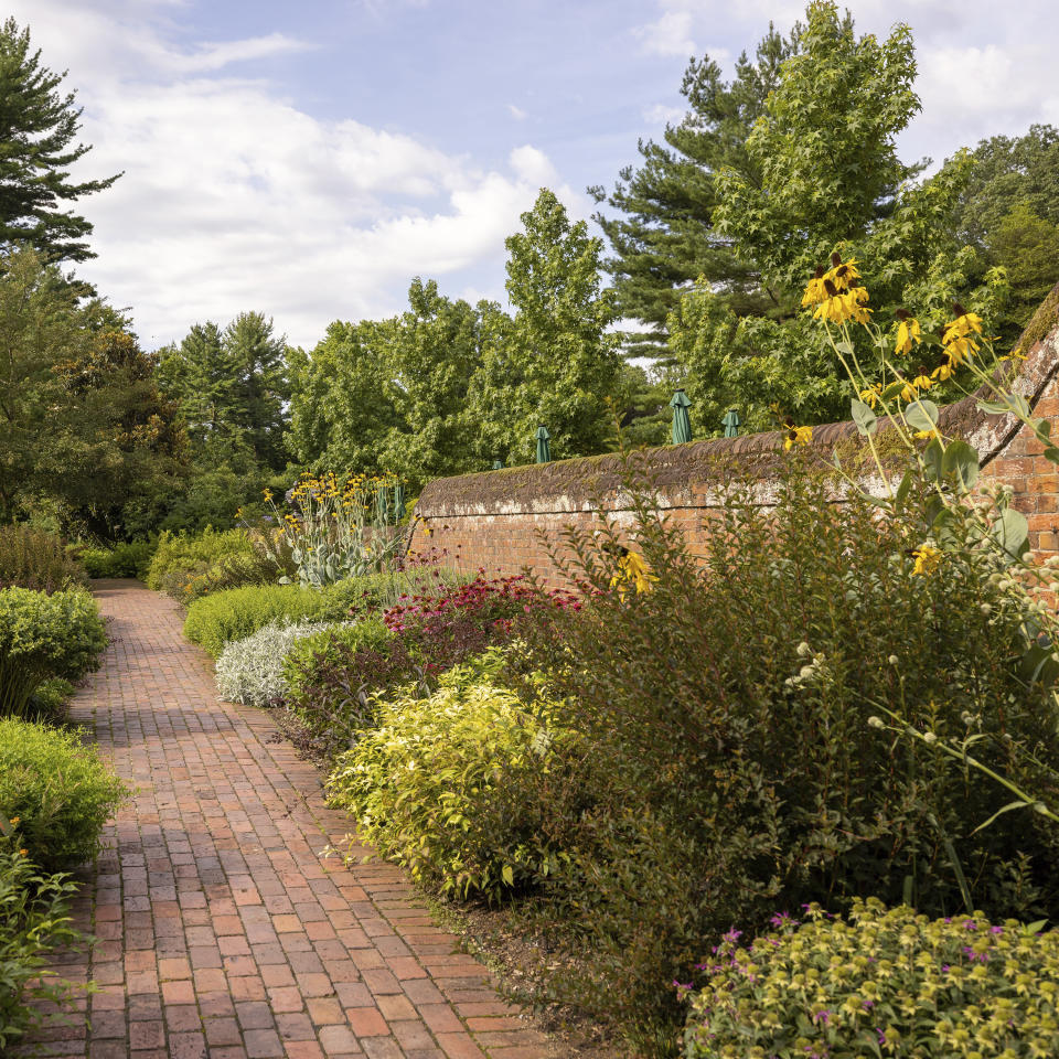 This undated photo provided by Mt. Cuba Center shows formal native plantings, including Asclepias tuberosa, Echinacea purpurea, Liatris, Physocarpus opulifolius and Artemesia ludoviciana, flanking a walkway at Mt. Cuba Center botanical garden in Hockessin, Del. (Alessandra Stokely/Mt. Cuba Center via AP)