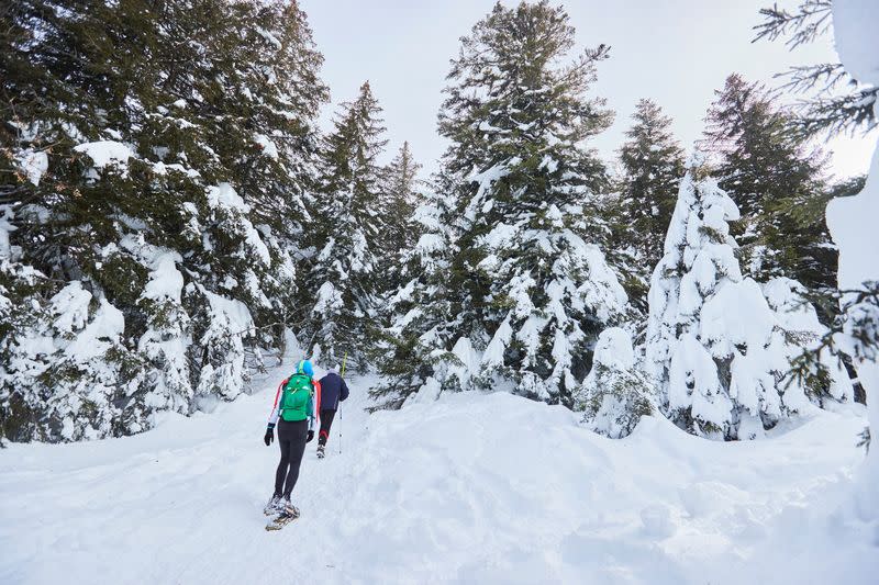 People walk with snowshoes in the forest on a winter day in Semnoz near Annecy