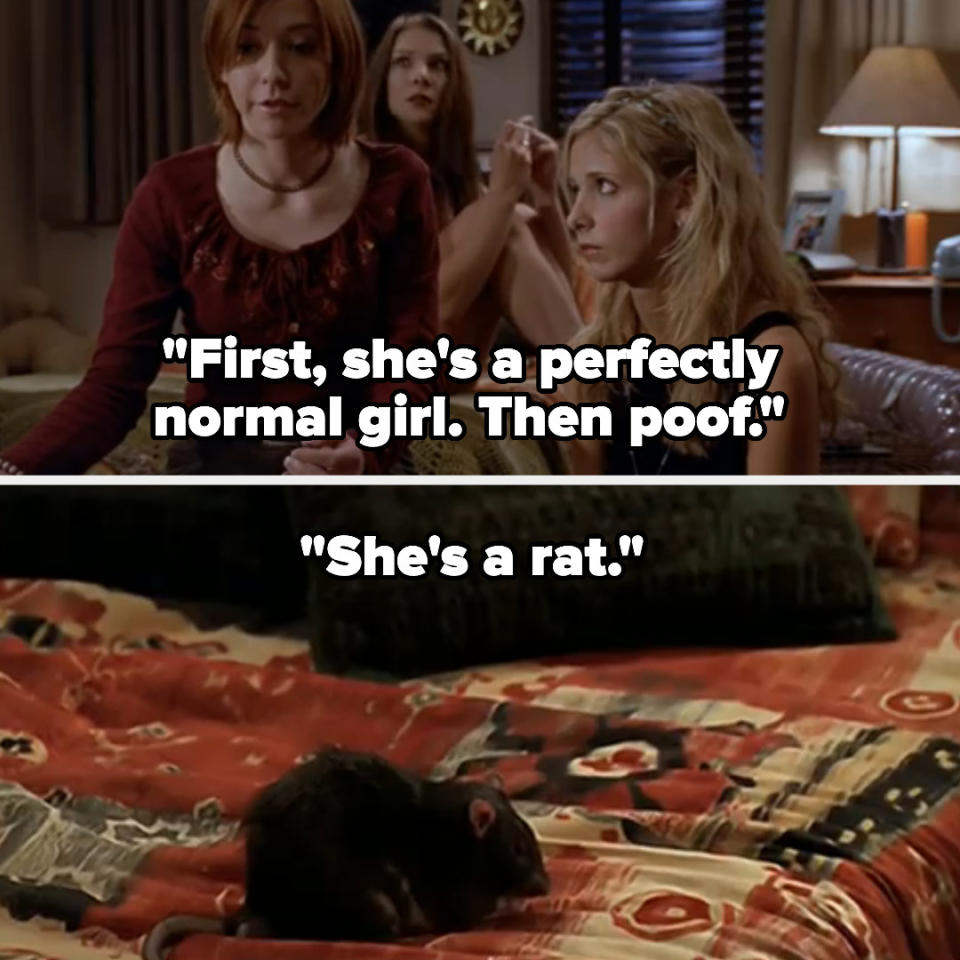 Willow says "first, she's a perfectly normal girl, then poof, she's a rat" and amy turns human then back into a rat