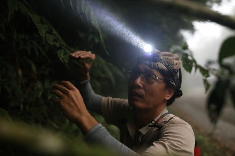 The Wider Image: Taiwan plant hunters race to collect rare species before they are gone