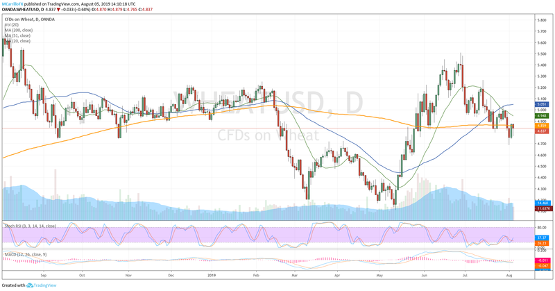 Prices of wheat daily chart August 5