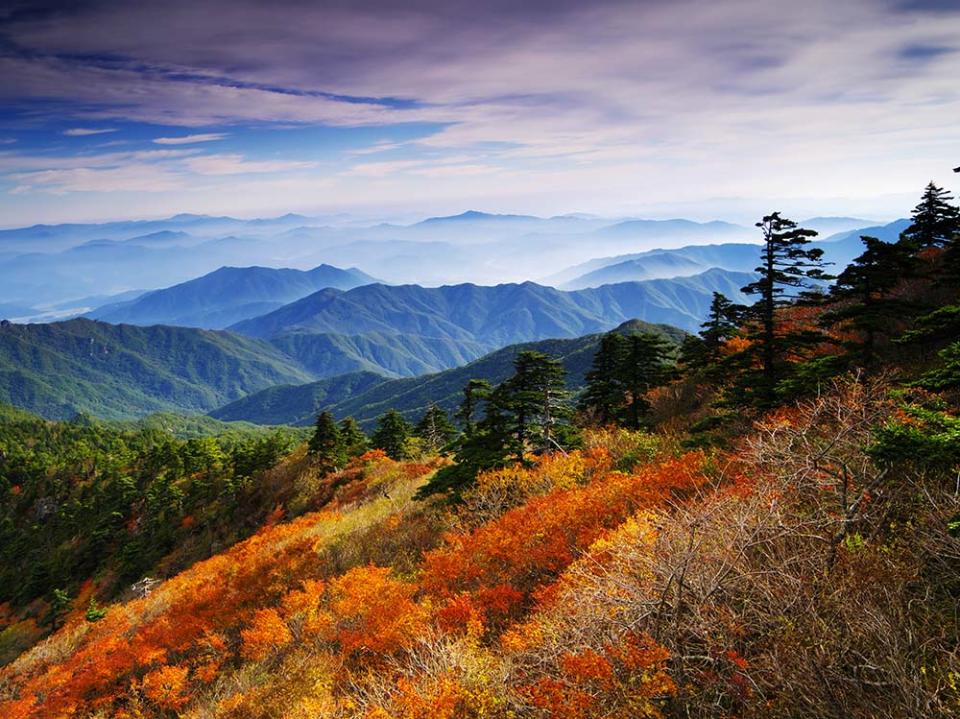 智異山（Image Source : Getty Creative）